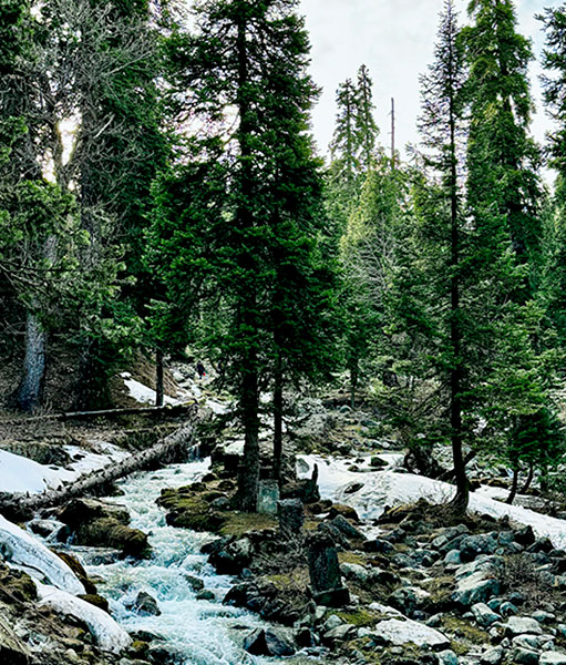Mountain Trekking Expedition