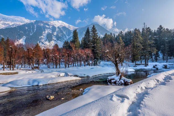 5-Day Scenic Mountain Adventure Itinerary new
